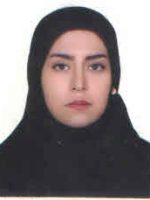 نجیبی